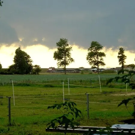 Deich Im Michaela Friedrichskoog