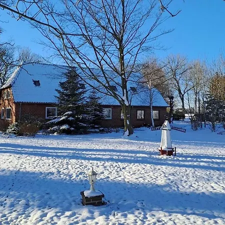 Deich Im Michaela * Friedrichskoog